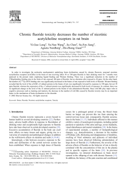 Chronic fluoride toxicity decreases the number of