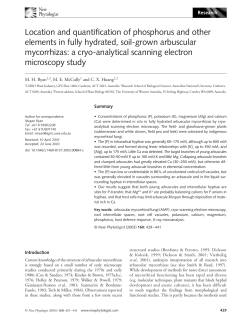 Location and quantification of phosphorus and other elements in