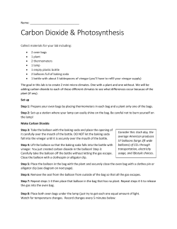 Photosynthesis - Black Rock Solar
