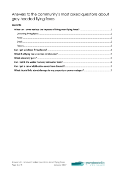 Answers to the community`s most asked questions about grey