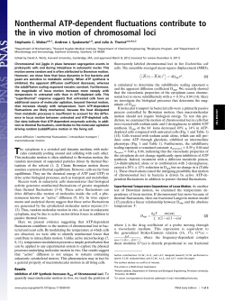 Nonthermal ATP-dependent fluctuations contribute to the in vivo