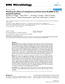 Modeling the effects of a Staphylococcal Enterotoxin B (SEB) on the