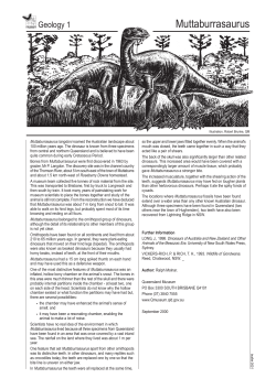 Muttaburrasaurus langdoni fact sheet