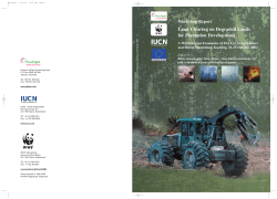 Land Clearing on Degraded Lands for Plantation Development