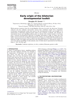 Early origin of the bilaterian developmental toolkit