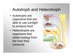 Autotroph and Heterotroph