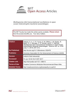 Multispecies diel transcriptional oscillations in open