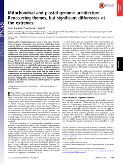 Mitochondrial and plastid genome architecture: Reoccurring themes