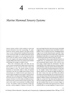 Marine Mammal Sensory Systems