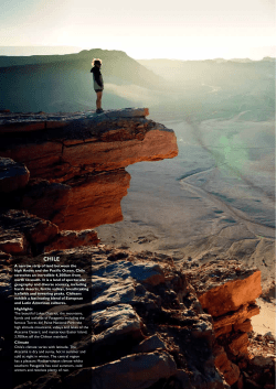 Chile - Natural Focus Safaris