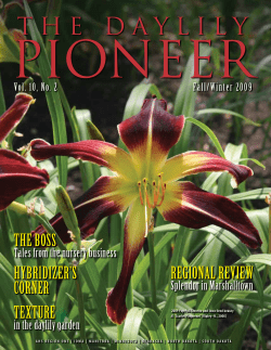 the daylily - AHS Region 1