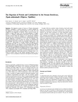 The digestion of protein and carbohydrate by the stream detritivore