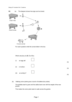 BIOLOGY: Foundation Question Paper
