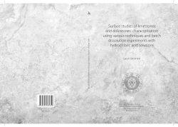 Surface studies of limestones and dolostones