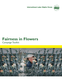 Fairness in Flowers Toolkit