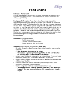 Food Chains - Teaching Through Nature