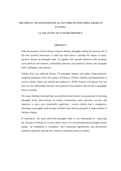 the impact of sociopolitical factors on pineapple trade in uganda