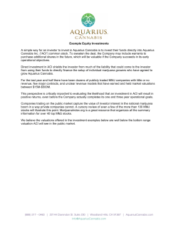 Example Equity Investments A simple way for an investor to invest in