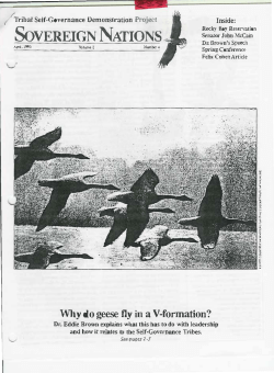 Issue 4 1993: Why do Geese Fly in a V Formation?