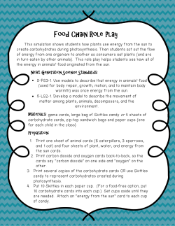 Food Chain Role Play