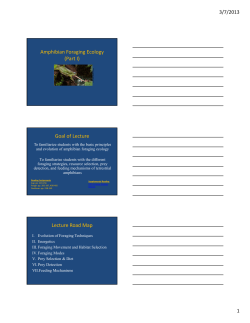 Foraging Ecology - UT Forestry, Wildlife and Fisheries