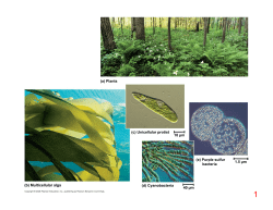 (a) Plants (c) Unicellular protist 10 µm 1.5 µm 40 µm (d