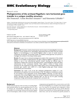 Phylogenomics of the archaeal flagellum: rare horizontal gene