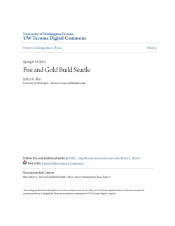 Fire and Gold Build Seattle