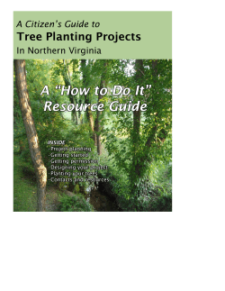 A Citizen`s Guide to Tree Planting Projects