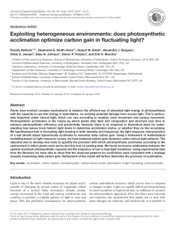 Exploiting heterogeneous environments: does photosynthetic