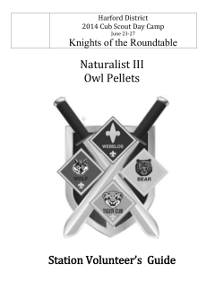 Program Director - Harford Day Camp