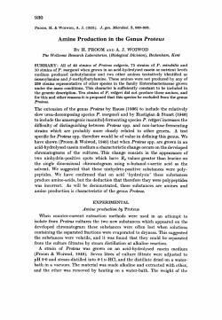 Arnine Production in the Genus Protetls