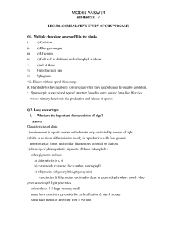 MODEL ANSWER