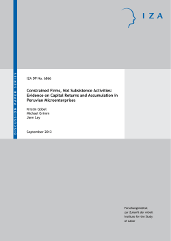 Constrained Firms, Not Subsistence Activities: Evidence on Capital