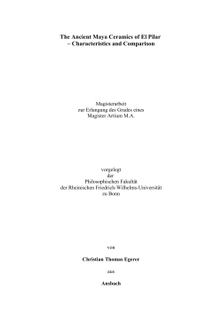 The Ancient Maya Ceramics of El Pilar &ndash; Characteristics and