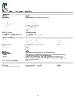 SAFETY DATA SHEET Boron 10%