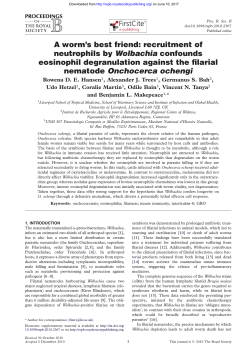 A worm`s best friend: recruitment of neutrophils by Wolbachia