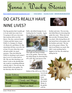do cats really have nine lives?