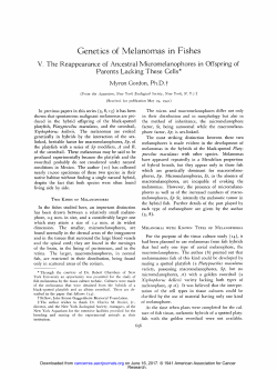 Genetics of Melanomas in Fishes