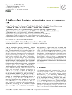 A fertile peatland forest does not constitute a major greenhouse gas