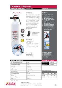 Kitchen Fire Extinguisher