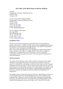 The Utility of the Blood Smear in Bovine Medicine