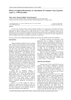 Effects of Sodium Bicarbonate on Anaesthesia of Common Carp