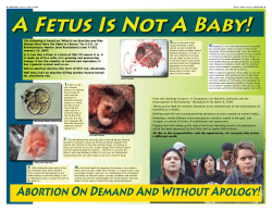 A Fetus Is Not A Baby!