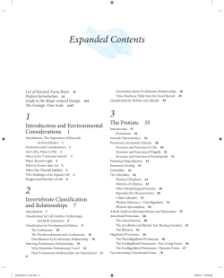 1 2 3 Expanded Contents