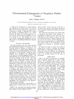 Chromosomal Enlargement in Neoplastic Rabbit