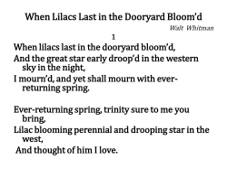 I Hear America Singing