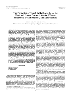 The Formation of Alveoli in Rat Lung during the Third and
