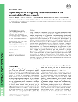 Light is a key factor in triggering sexual reproduction in the pennate