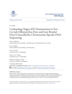 Siberian Roe Deer and Grey Brocket Deer - NSUWorks